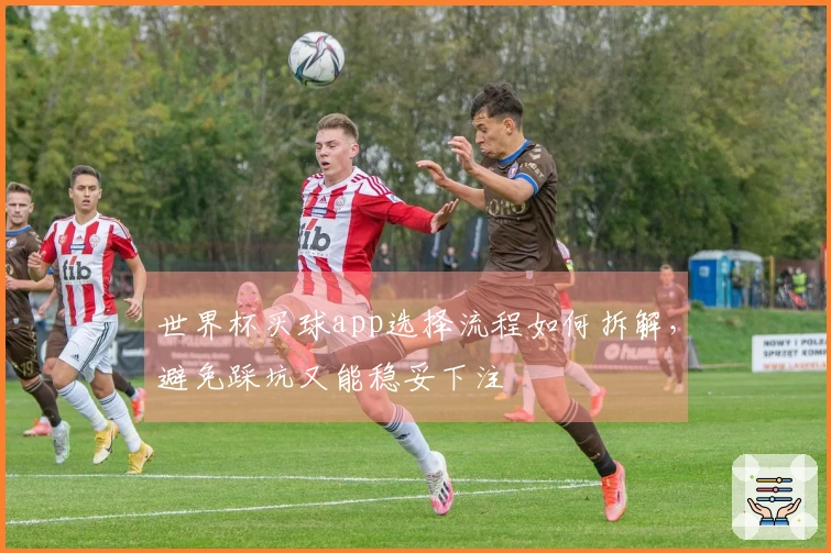 世界杯买球app选择流程如何拆解，避免踩坑又能稳妥下注
