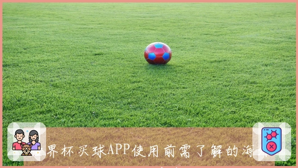 世界杯买球APP使用前需了解的海外平台隐藏风险与注意事项
