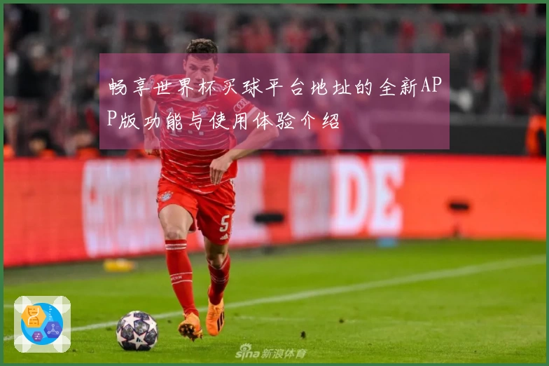 畅享世界杯买球平台地址的全新APP版功能与使用体验介绍