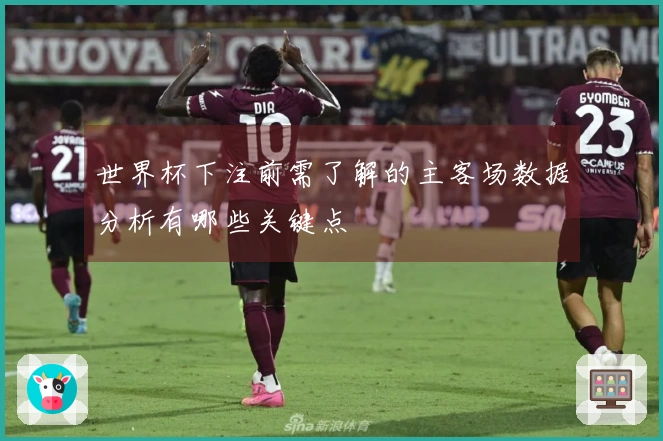 世界杯下注前需了解的主客场数据分析有哪些关键点