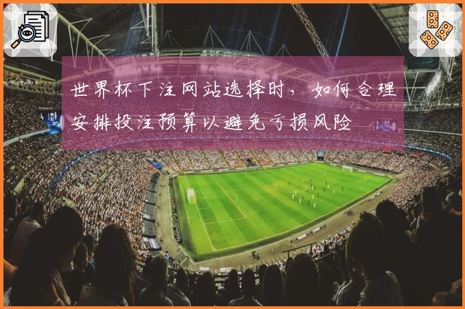 世界杯下注网站选择时，如何合理安排投注预算以避免亏损风险