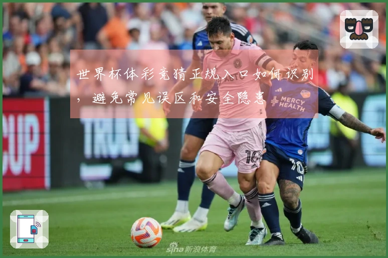 世界杯体彩竞猜正规入口如何识别，避免常见误区和安全隐患