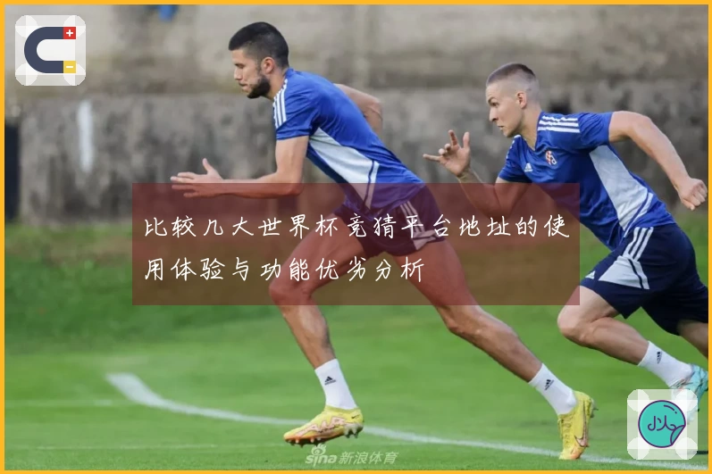 比较几大世界杯竞猜平台地址的使用体验与功能优劣分析