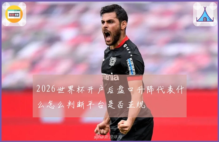 2026世界杯开户后盘口升降代表什么怎么判断平台是否正规