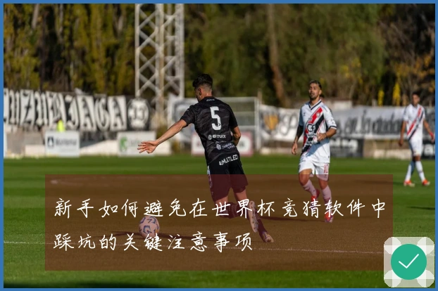 新手如何避免在世界杯竞猜软件中踩坑的关键注意事项