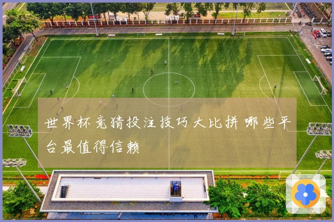 世界杯竞猜投注技巧大比拼 哪些平台最值得信赖