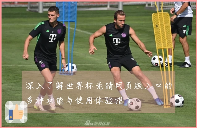 深入了解世界杯竞猜网页版入口的多种功能与使用体验指南