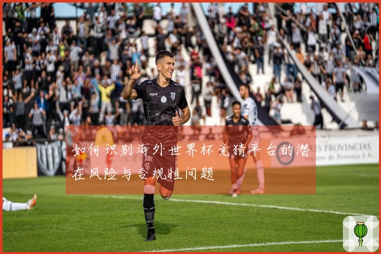 如何识别海外世界杯竞猜平台的潜在风险与合规性问题