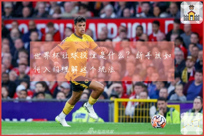 世界杯让球投注是什么？新手该如何入门理解这个玩法