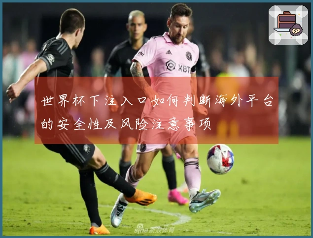 世界杯下注入口如何判断海外平台的安全性及风险注意事项