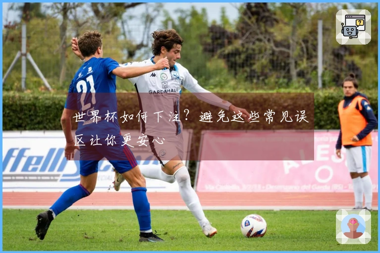 世界杯如何下注？避免这些常见误区让你更安心