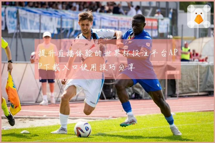 提升直播体验的世界杯投注平台APP下载入口使用技巧分享