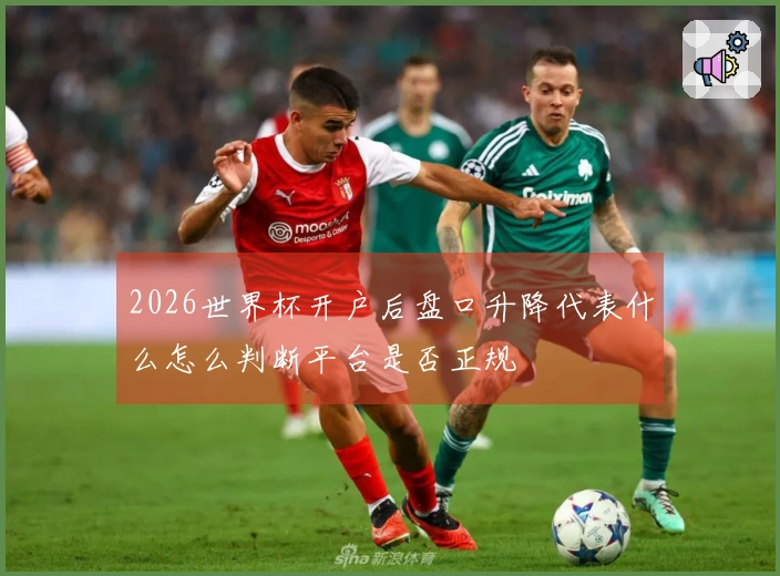 2026世界杯开户后盘口升降代表什么怎么判断平台是否正规