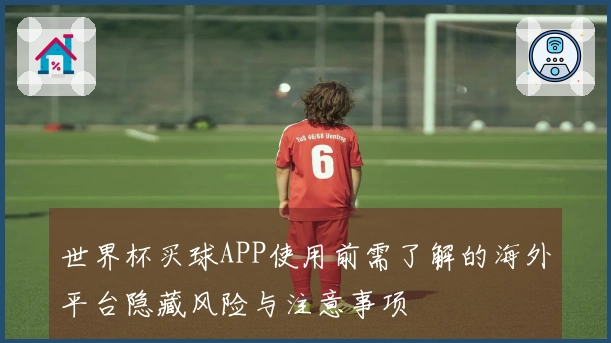 世界杯买球APP使用前需了解的海外平台隐藏风险与注意事项